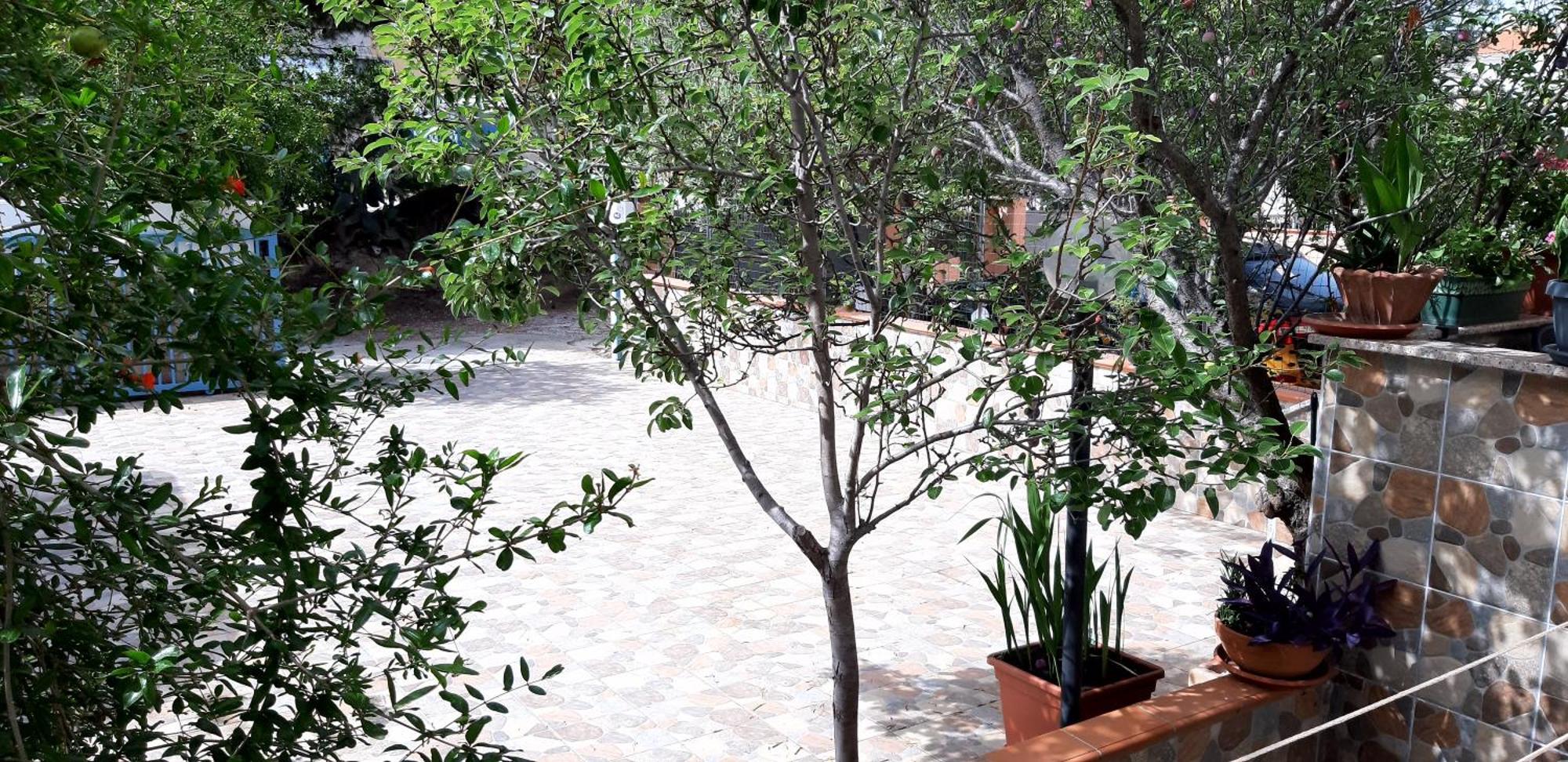 Phiniscollis B&B La Caletta Exteriér fotografie